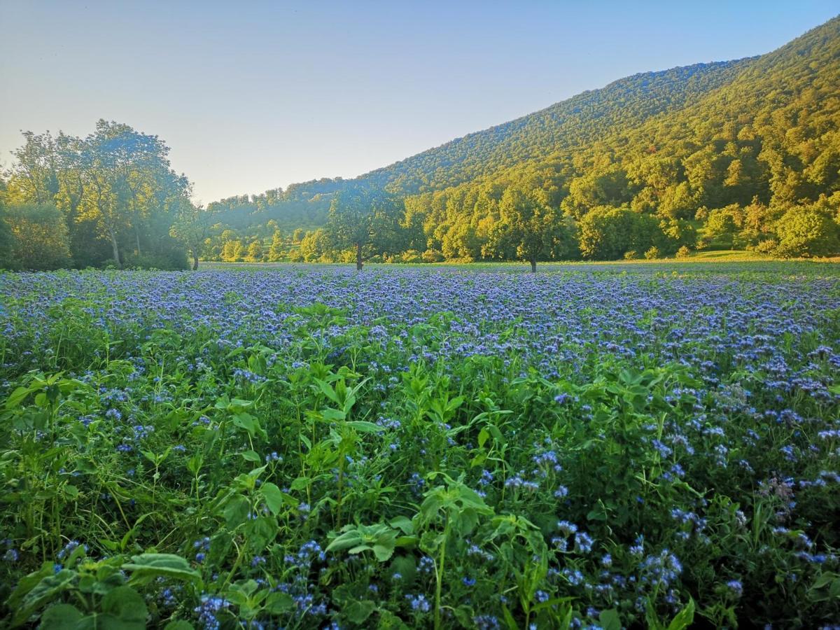 Ferienwohnung Im Haus Lotus Mit Grossem Balkon Und Garten Bad Urach Zewnętrze zdjęcie